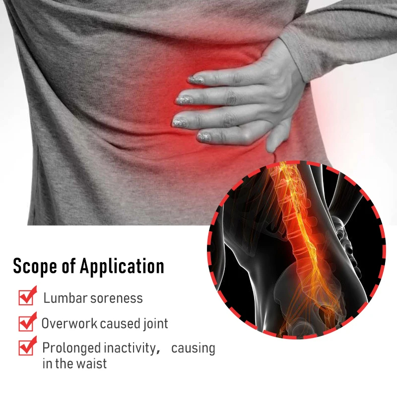 60/6 PCS Lumbar Pain Patch Wor - đánh giá và giá Herbal Wellness Patches
