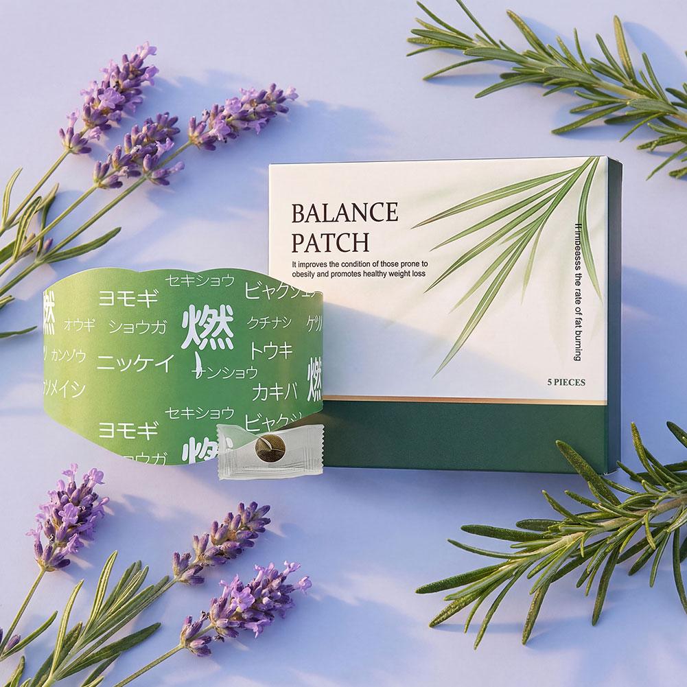 1/2/3/5/10pcs Natural Herbal B - đánh giá và giá Herbal Wellness Patches